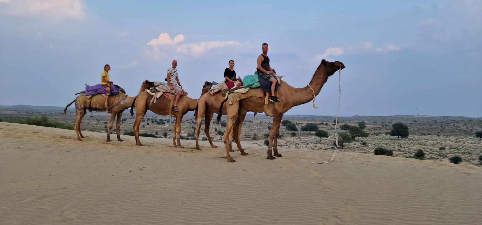 Hostel Desert Home Stay ジャイサルメール エクステリア 写真